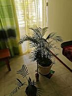 Room in Apartment - Roommate for Rent in Flic en Flac