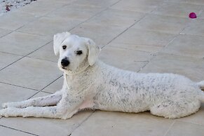 Astrinos Apt Simple, Cosy, Comfortable, Near the Beach