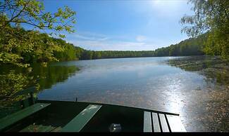 Adventure in Nature Tree Loft for 4 People 2