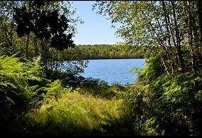 Adventure in Nature Tree Loft for 4 People 2