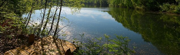 Treeloft Adventure in Nature for 4 People 13