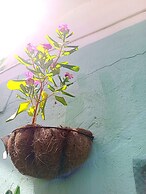 Room in House - Posada Nativa Green Sea San Luis