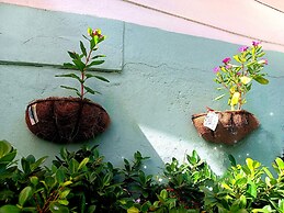 Room in House - Posada Nativa Green Sea San Luis