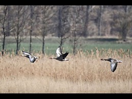 A House to Stay for Holidays