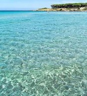 Sweet Thought Cottage