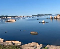 Sweet Thought Cottage