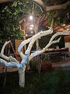 Panoramic Apartment With Vesuvius View