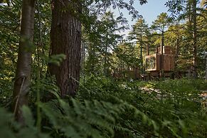 Treeloft Adventure in Nature for 4 People 6