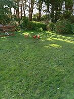 Room in Bungalow - Very Nice View With This Room