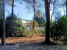 Small Country House Biokikko