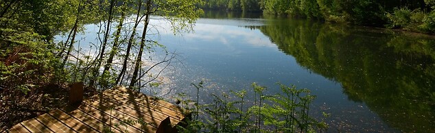 Treeloft Adventure in Nature for 4 People 10