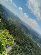 Room in Guest Room - Rural Holiday Transylvania