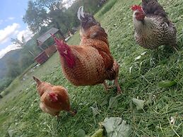 Room in Guest Room - Rural Holiday Transylvania