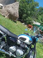 Room in Guest Room - Rural Holiday Transylvania