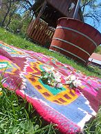 Room in Guest Room - Rural Holiday Transylvania