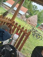 Room in Guest Room - Rural Holiday Transylvania