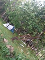 Room in Guest Room - Rural Holiday Transylvania