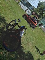 Room in Guest Room - Rural Holiday Transylvania