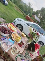 Room in Guest Room - Rural Holiday Transylvania