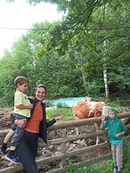 Room in Guest Room - Rural Holiday Transylvania