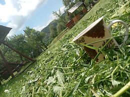 Room in Guest Room - Rural Holiday Transylvania