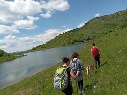 Room in Guest Room - Rural Holiday Transylvania