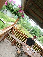 Room in Guest Room - Rural Holiday Transylvania