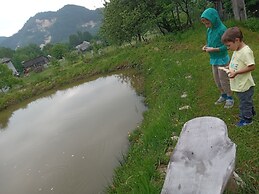 Room in Guest Room - Rural Holiday Transylvania