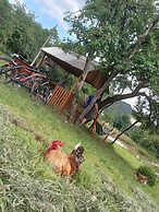 Room in Guest Room - Rural Holiday Transylvania