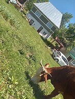 Room in Guest Room - Rural Holiday Transylvania