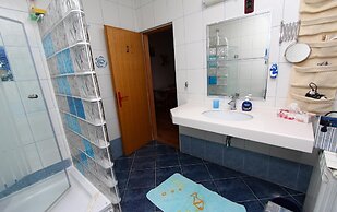 Villa Nikola One-bedroom Apartment With Terrace