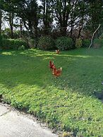 Room in Apartment - 1 Bedroom In A Homely Home With A Lovely Farm