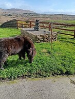 Room in Apartment - 1 Bedroom In A Homely Home With A Lovely Farm