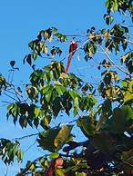 Jaco-carara 3 Bdrm Surrounded by Rainforest With Private Pool