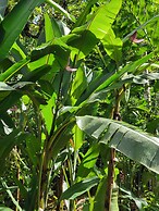 Jaco-carara 3 Bdrm Surrounded by Rainforest With Private Pool