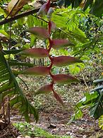 Jaco-carara 3 Bdrm Surrounded by Rainforest With Private Pool