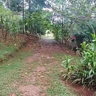 Jaco-carara 3 Bdrm Surrounded by Rainforest With Private Pool