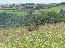 Inviting 4 Berth Caravan in Hebden Bridge