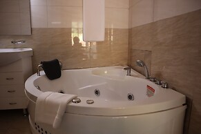 The Voice Hotel