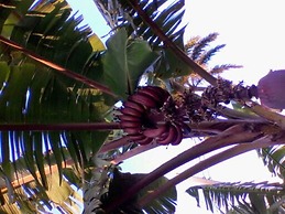 Holiday House at Villa Montego