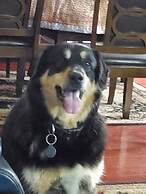 Shoreside Inn & Suites