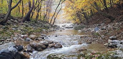 Inje Leenchung Pension