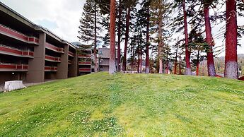 1849 Condos #409 3 Bedroom Condo by Redawning