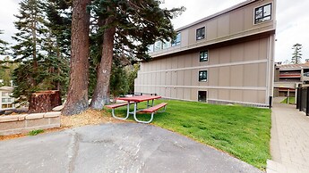 1849 Condos #409 3 Bedroom Condo by Redawning