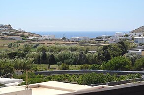 Beautiful Apt In Ano Mera Village