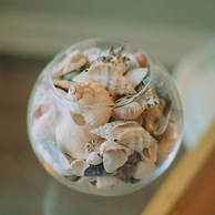 The Black Isle Apartment