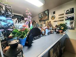 The New Star Motel with Studio-Kitchens: 1950s Extended-Stay Lodging a