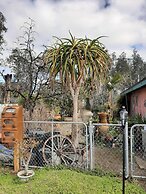 The New Star Motel with Studio-Kitchens: 1950s Extended-Stay Lodging a