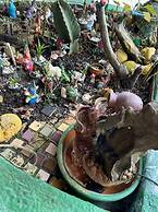 Pousada Recanto das Cores