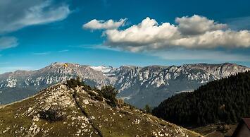 Pensiunea Padina Ursului